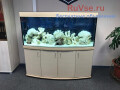 akvariumy-zelakva-s-tumboi-i-bez-small-5