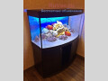 akvariumy-zelakva-s-tumboi-i-bez-small-7