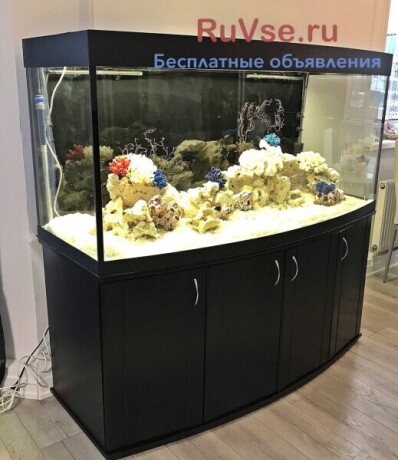 akvariumy-zelakva-s-tumboi-i-bez-big-0