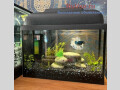 akvariumy-terrariumy-oborudovanie-rybki-small-1