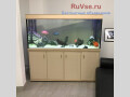 akvariumy-terrariumy-oborudovanie-rybki-small-4