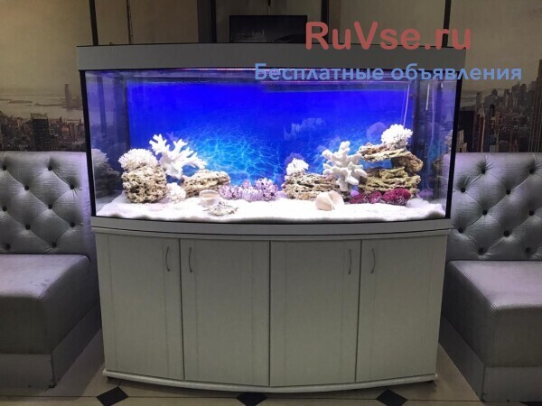 akvariumy-terrariumy-oborudovanie-rybki-big-0