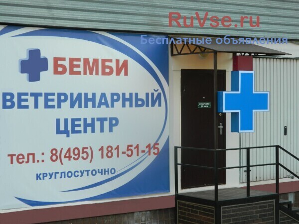 veterinarnaia-klinika-v-cetranovo-big-1