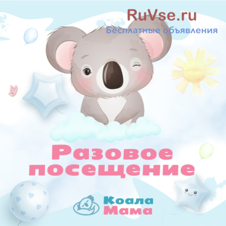 detskii-sadiasli-koalamamanevskii-raionrazovye-poseshheniia-big-8