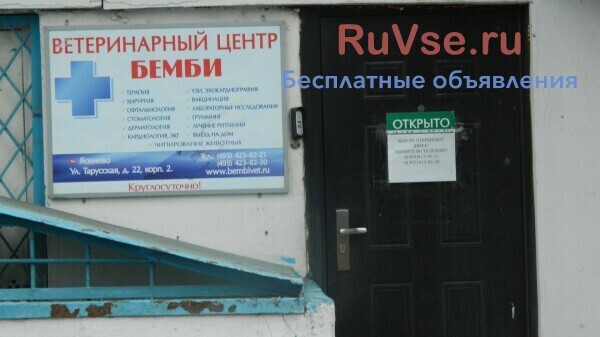 veterinarnaia-klinika-v-iasenevo-big-1