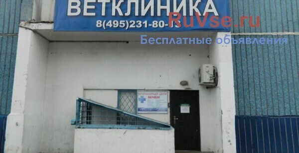 veterinarnaia-klinika-v-iasenevo-big-0