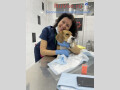 veterinarnyi-vrac-oftalmolog-v-moskve-small-2