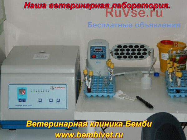 veterinarnaia-laboratoriia-na-ciurupy-big-1