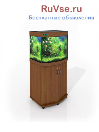 akvariumy-ot-proizvoditelia-s-garantiei-5-let-big-1