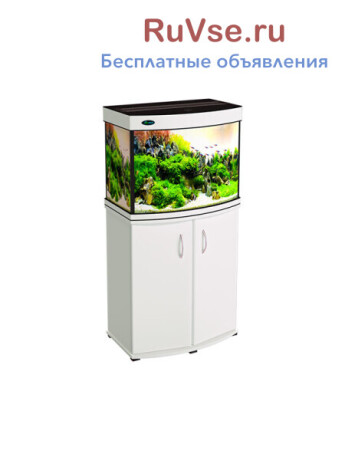 akvariumy-ot-proizvoditelia-s-garantiei-5-let-big-4