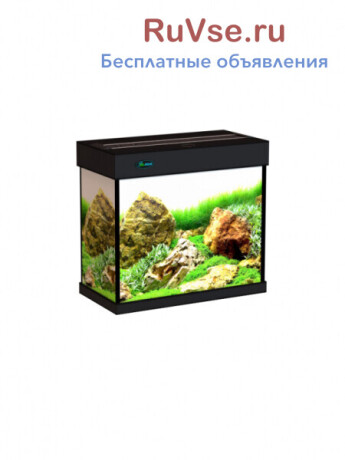 akvariumy-ot-proizvoditelia-s-garantiei-5-let-big-5