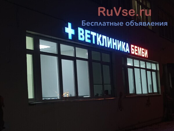 veterinarnaia-klinika-na-kaxovke-big-1
