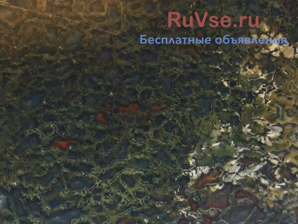 dinozavr-kollekcionnaia-skatulka-iz-okamenevsei-kosti-kamnia-dinobon-big-6