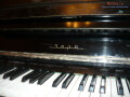 nastroika-pianino-i-royalei-small-0